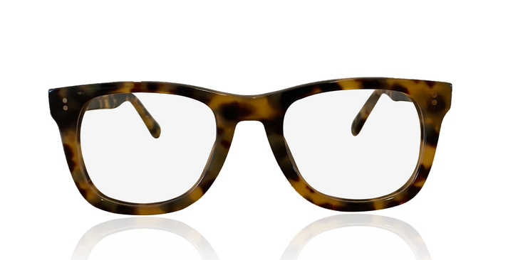 Sayuz in Tokyo Tortoise