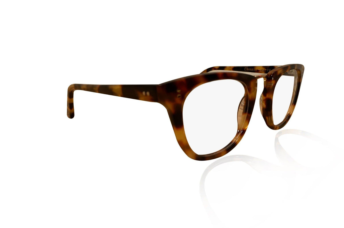 tokyo tortoise glasses