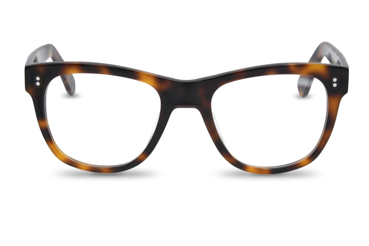 Balshoy  in Tortoise